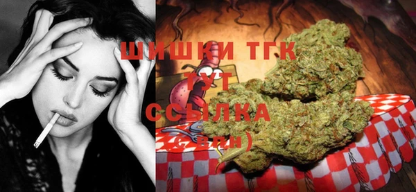 экстази Каменка