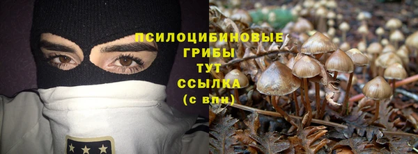 экстази Каменка